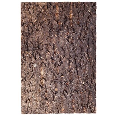44489.jpg Repti-Zoo Big Tree Background - tło z kory do terrarium 30x45cm