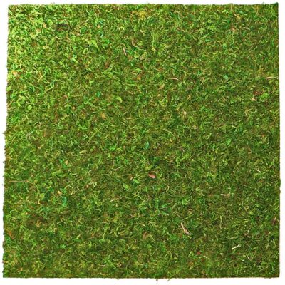 45474.jpg Repti-Zoo Natural Moss Back&Bottom - tło i podłoże z mchu 45x45cm