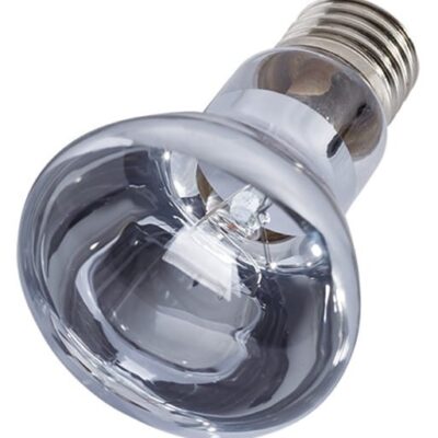 45523.jpg Repti-Zoo Neodymium Daylight 100W - żarówka grzewcza neodymowa