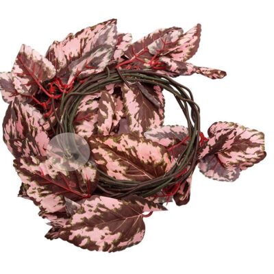 Repti-Zoo roślina wisząca 190cm - Begonia