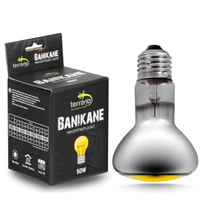 46954.jpg Terrario Banikane Neodymium Light - żarówka grzewcza neodymowa 50W