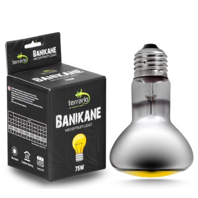 46959.jpg Terrario Banikane Neodymium Light - żarówka grzewcza neodymowa 75W