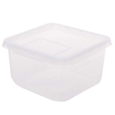 Terrario Insect Box Compact 12x12x7cm