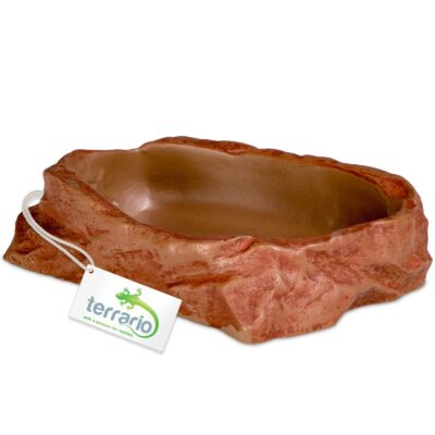 Terrario Natural Bowl M – Miska do Terrarium 11,5x9x3 cm