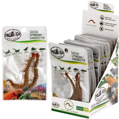 48566.jpg ProBugs Eco-Fresh Scolopendra Centipede 15 x 2pcs - świeże skolopendry 15 saszetek