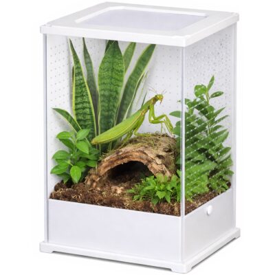 50032.jpg Terrario TerraLoom L - terrarium 12x10x20cm