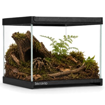 50472.jpg Terrario Frevo Clear Terrarium 20x20x17cm - terrarium szklane