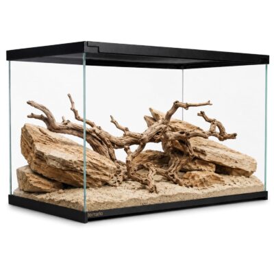 50482.jpg Terrario Frevo Clear Terrarium 50x30x30cm - terrarium szklane