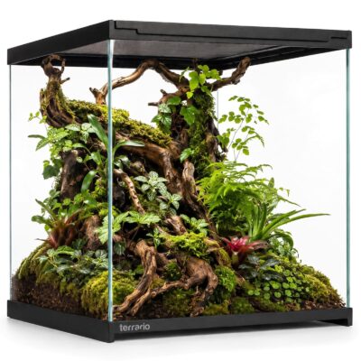 50492.jpg Terrario Frevo Clear Terrarium 30x30x30cm - terrarium szklane