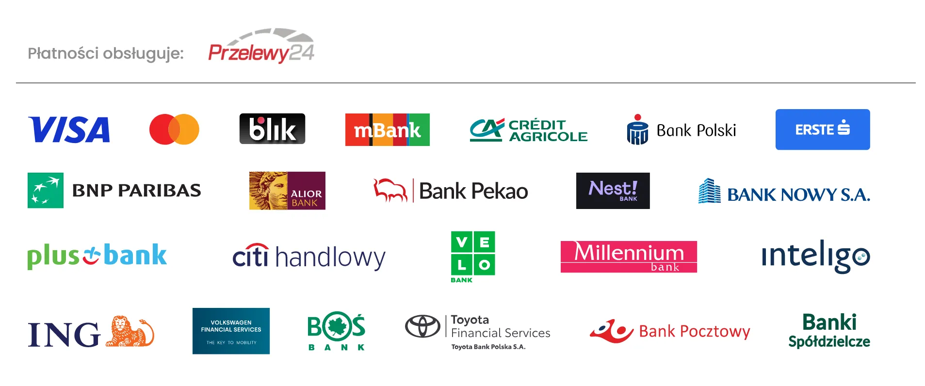 Płatności obsługuje Przelewy24 — BLIK, Visa, Mastercard i przelewy bankowe